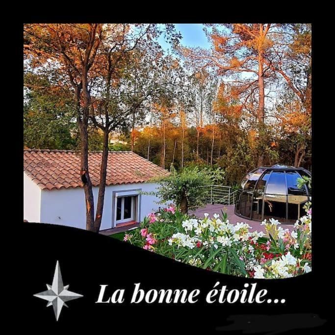 La Bonne Etoile Marseille ! Hebergement Romantique ! Jacuzzi Et Piscine Exterior foto